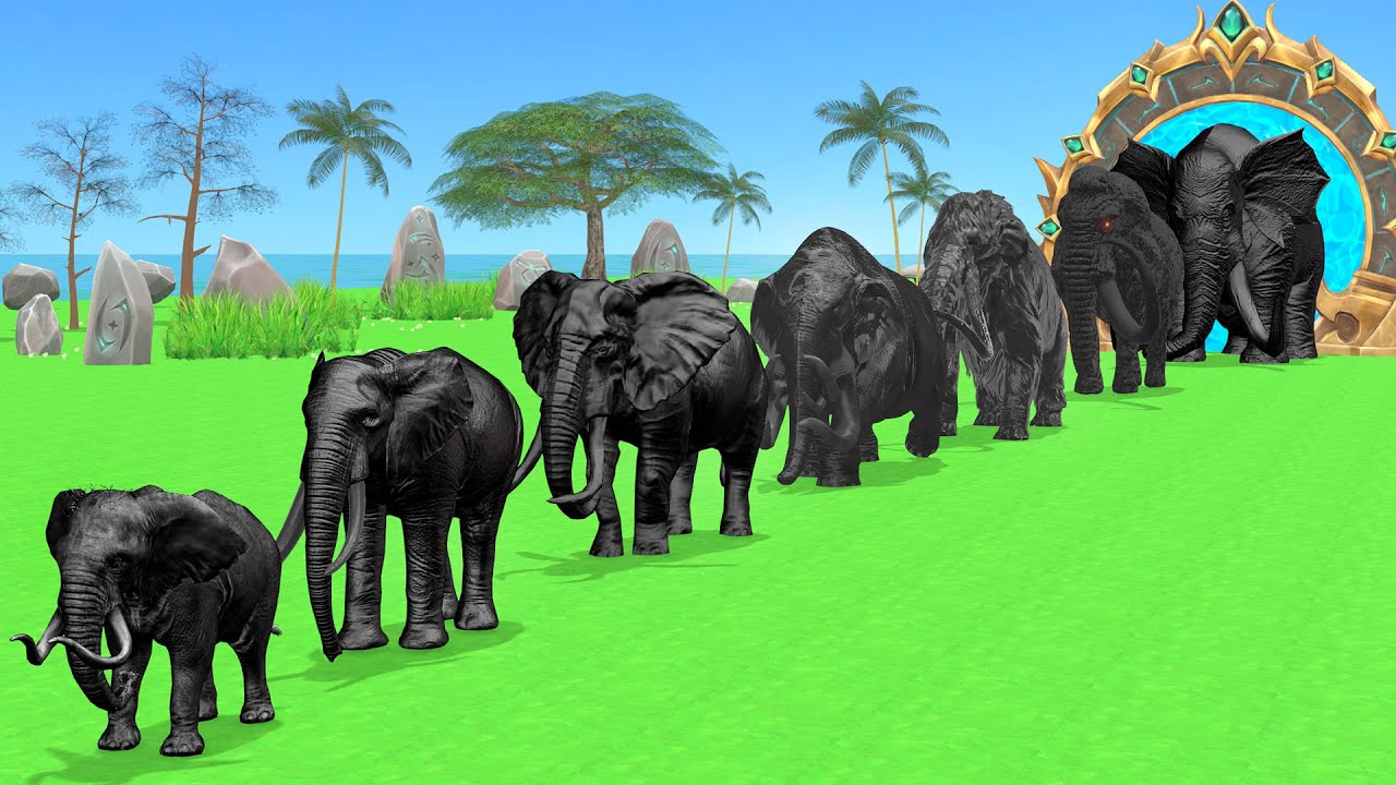 Paint Animals Elephants Size Comparison Fountain Crossing Animal Transformation Cartoon