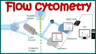 Flow cytometry : basic principles | What the use of  flow cytometry ? | Cell sorting by FACS