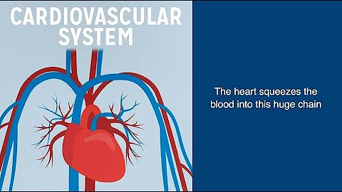 What Is Hypertension And How Is It Treated?