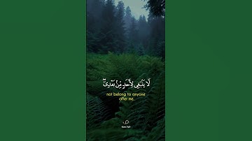 من سورة ص | ولقد فتنا سليمان | القارئ إسلام صبحي | تلاوات جميلة