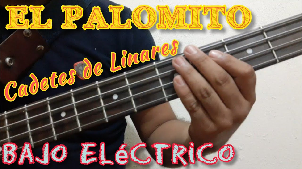 Cómo tocar El PALOMITO en Bajo Eléctrico / Tutorial Cadetes de Linares Para Principiantes