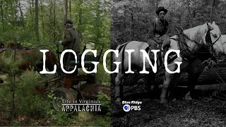Life in Virginia's Appalachia  Logging
