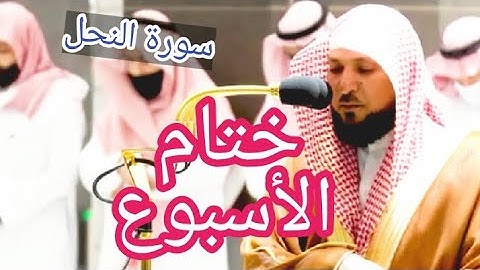 تلاوة رائعة يحبرها 💖الشيخ ماهر المعيقلي ما تيسر من سورة النحل[صلاة العشاء 17 3 1443]