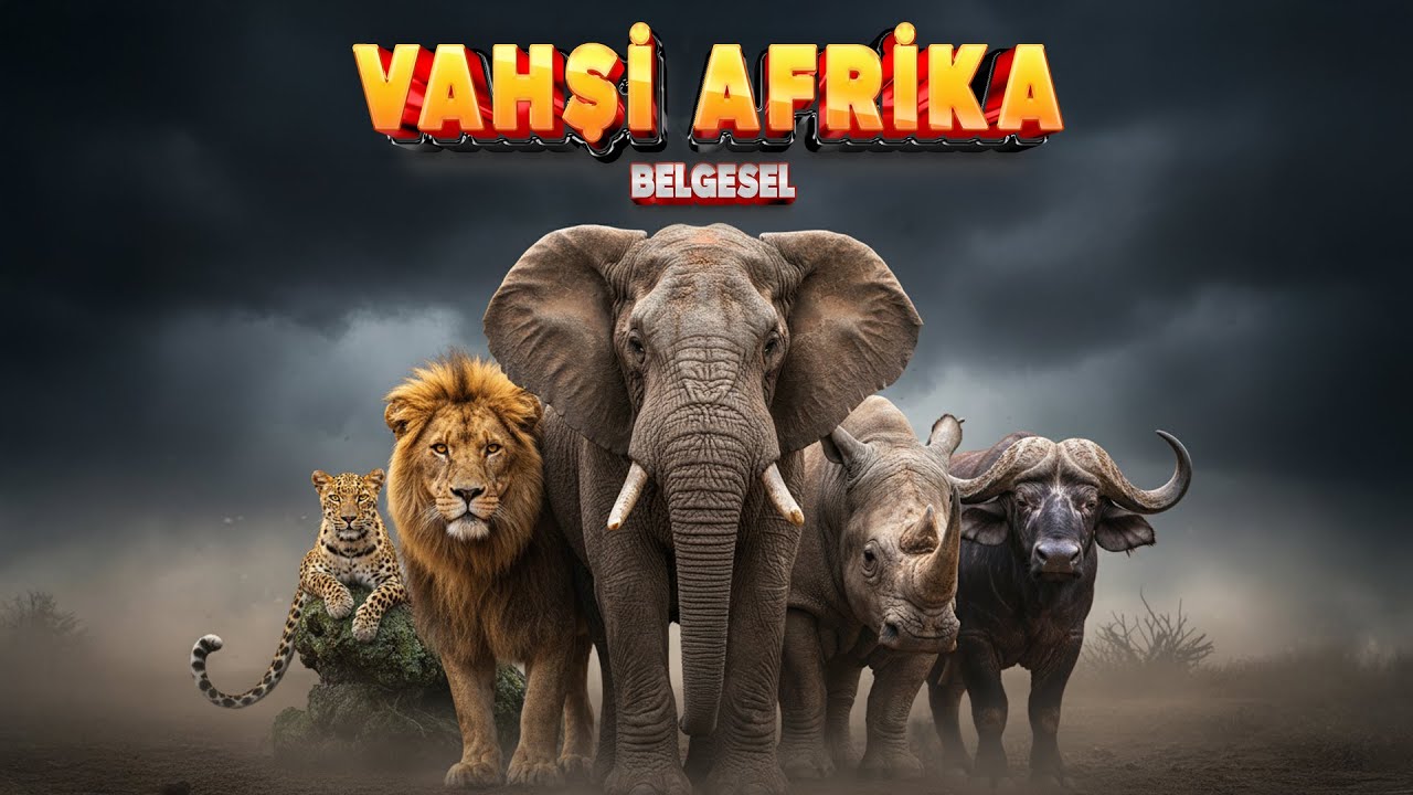 Afrika’nın Kalbi: Bilge Devden “Kara Ölüm”e Büyük Beşli | Vahşi Yaşam Belgeseli
