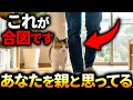 【知らないと損してる…】猫が「親」と思ってる人にだけ見せる行動９選