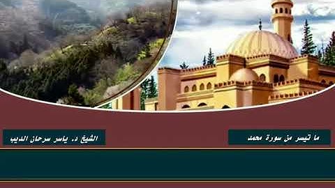 ما تيسر من سورة محمد - الشيخ  ياسر سرحان الديب
