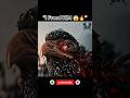 I Freed the Phoenix & Became a Legend | Epic Fantasy Story#gks_g2