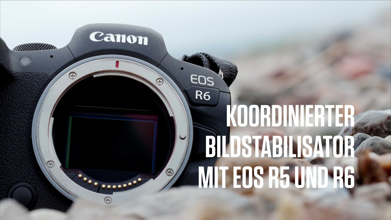 mm 1.835,00 Preisvergleich | Canon EOS 2024 24-105 Preise) bei Kit ab f4-7.1 R6 (Februar € RF