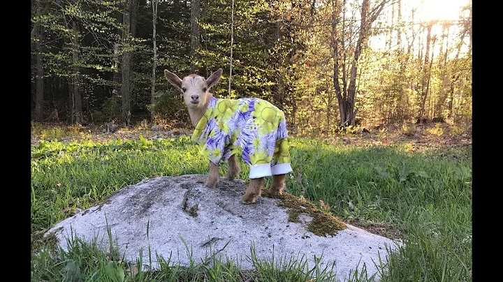 When your Outfit Matches the weather perfectly!