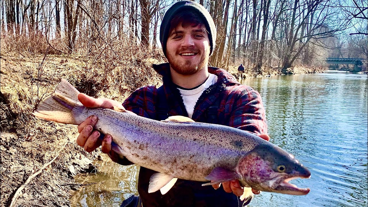 Slayin STEELHEAD & BROWN TROUT AGAIN in ERIE, PA!! 