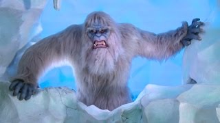 Visit http://www.insidethemagic.net for more from the matterhorn
bobsleds upgrades! disneyland's 60th anniversary, received upgra...