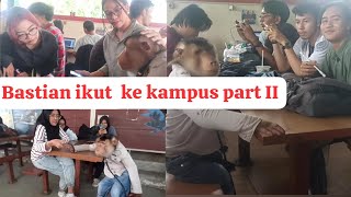 Monyet Beruk Bastian ikut ke kampus part II