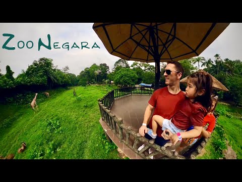 Video: Zoo sa Kuala Lumpur