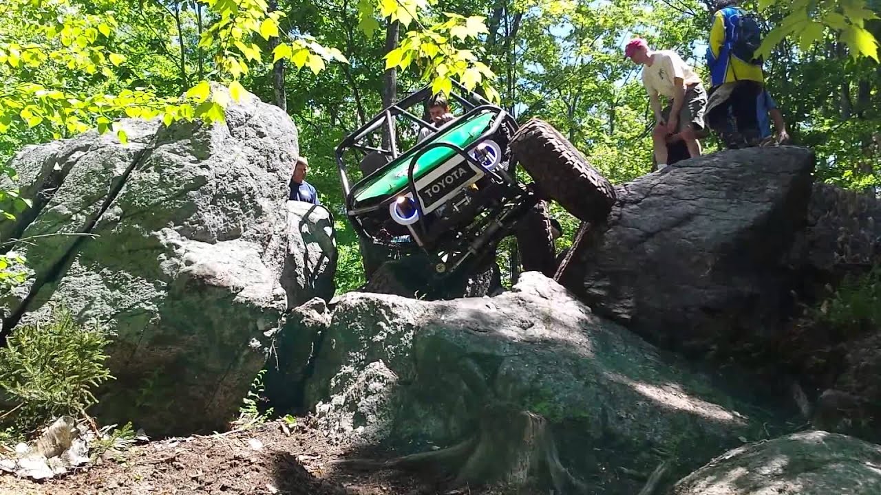 Field and Forest PT YouTube