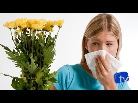 Vídeo: Alergia A Plantas: Como Tratá-la?