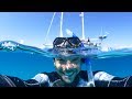 This Is Why We Love SCUBA DIVING!  Sailing Vessel Delos Ep. 130