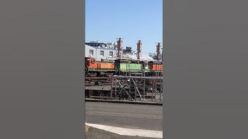 BNSF Railway Locomotives Deadlined at Interbay Roundhouse in Seattle