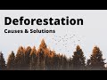 Deforestation: Causes and Solutions