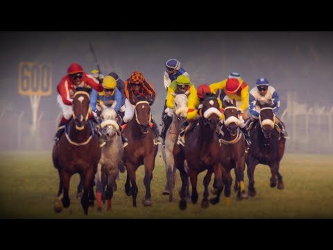 Video: Anadolu Horse Race Hypoallergenic, Health And Life Span