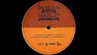 Damian Marley - Welcome To Jamrock (Instrumental)