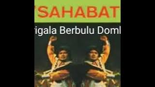 Rita Sugiarto _ Srigala Berbulu Domba ( OM Soneta Vol 10 Sahabat 1979 )