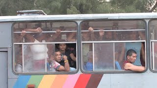 The Motley Crew of Cuban Buses