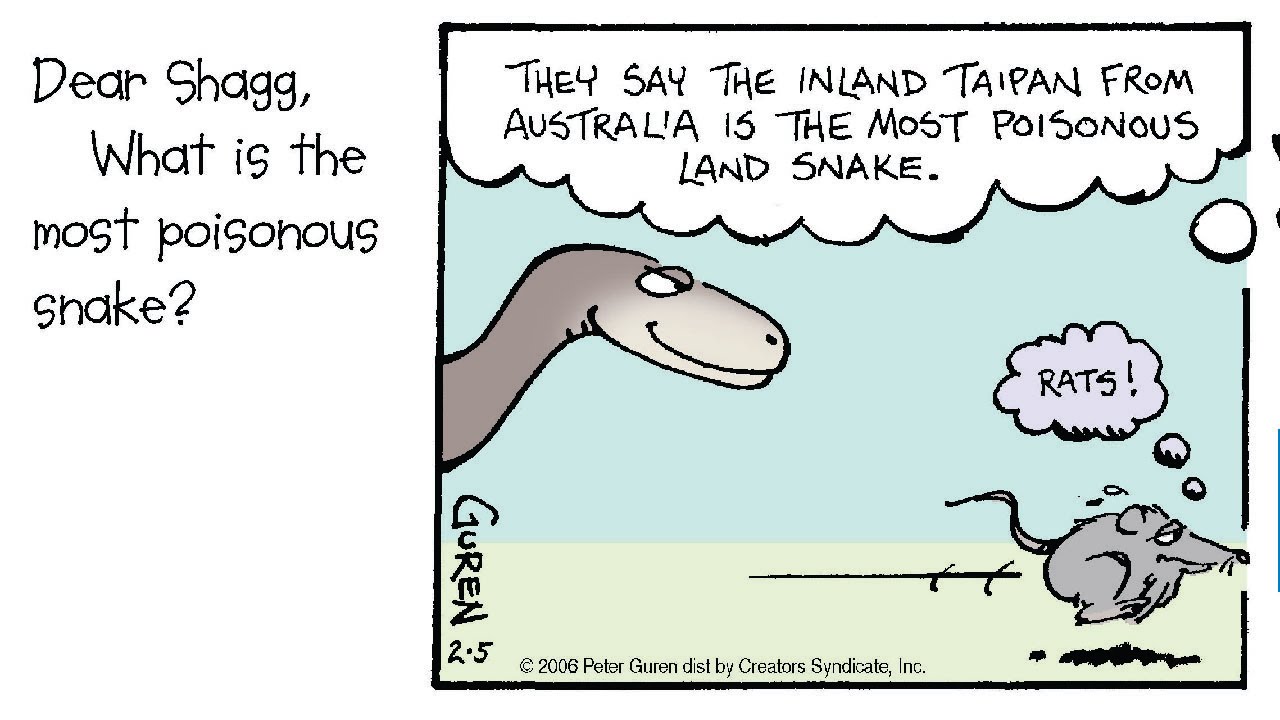 What is the most poisonous snake?