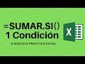 Usar la función SUMAR.SI EN EXCEL