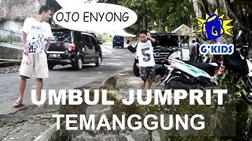 Wisata Temanggung: Di Jumprit ada 30 Ekor Kera