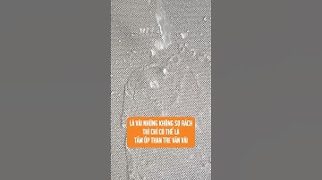 Tấm ốp than tre vân vải có chống ẩm mốc, mối mọt không? Giải pháp với tấm ốp than tre Hobi