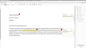 Print Submission comments in Canvas