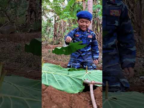 🇮🇩 Survival Skills: Smart and Useful Ideas for the Forest  & Top Kesehatan & Rumah in Indonesia