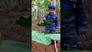 Survival Skills: Smart and Useful Ideas for the Forest How to Hatch Chicks #camping #survival #ideas