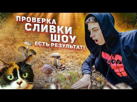 КАК ВЫРАСТИТЬ МНОГО БЕЛЫХ ГРИБОВ ДОМА? ЕСТЬ РЕЗУЛЬТАТ! ПРОВЕРКА СЛИВКИ ШОУ