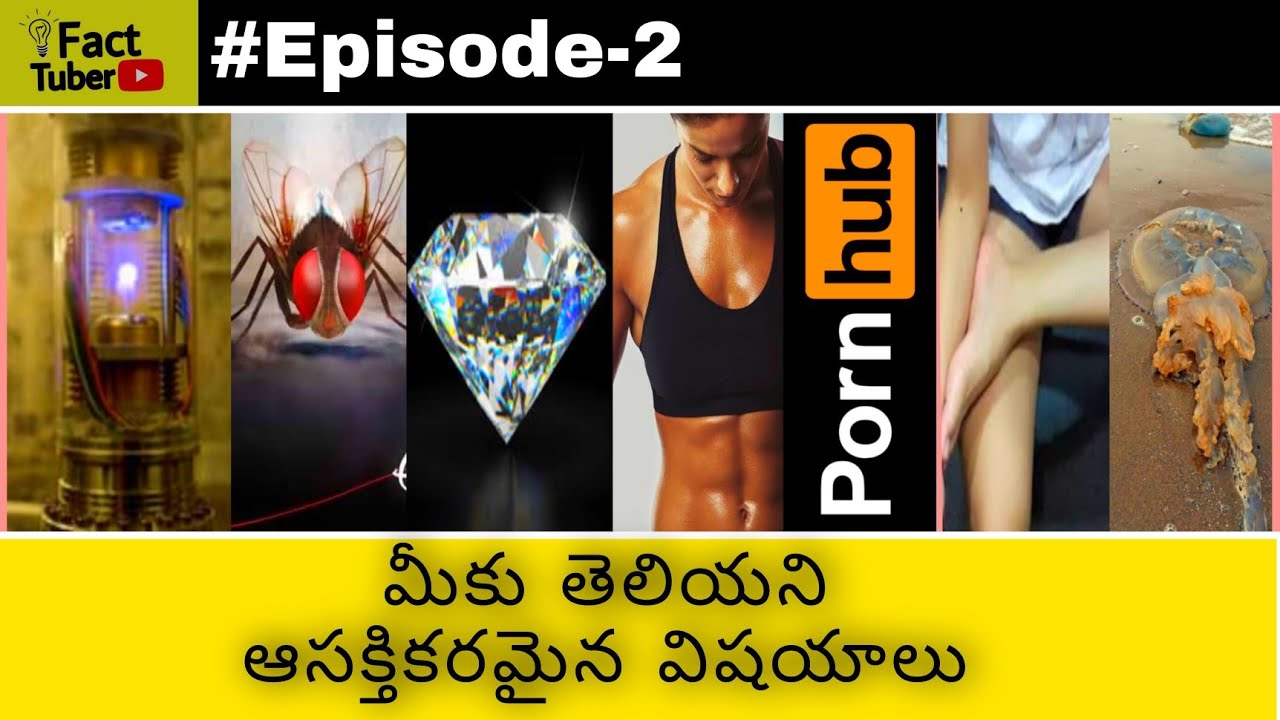 Top Interesting Facts in Telugu // FactTuber // Unknown Facts // Most Interesting Facts in Telugu