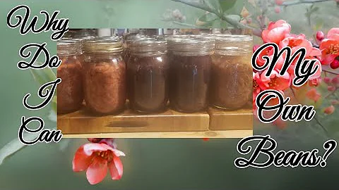 Why I can My Dry Beans// The canning Process