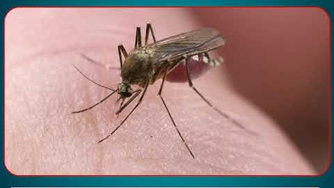 Incredible Science Class 4-Chapter 4-Page Number 40