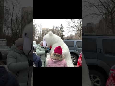 Девочка очень обрадовалась поздравлению от белого танцующего мишки #медвежонок #школа #москва