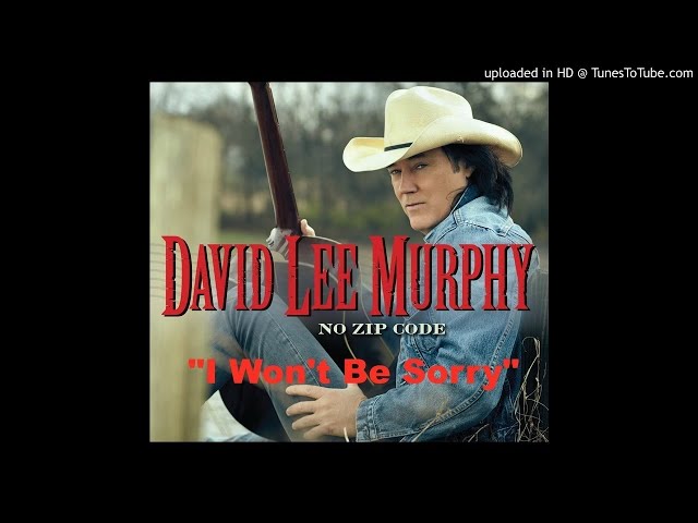 David Lee Murphy - I Won't Be Sorry