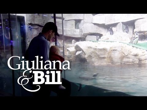 Rancic Father and Son Bonding Time | Giuliana & Bill | E!