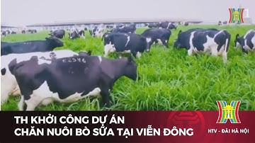 TH khởi công dự án chăn nuôi bò sữa tại Viễn đông | Tin tức mới nhất hôm nay