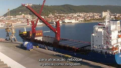 Lankhorst Synthetic Video with Subtitles