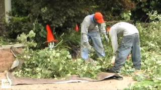 Irving TX Contractors Sal's Landscape and Tree Service
