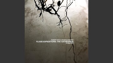 Flood Expeditions: The Gatherings Part 1