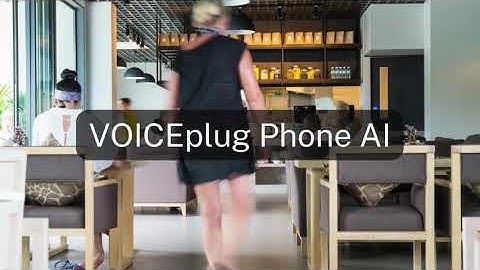 VoicePlug AI Products Explainer and Demos