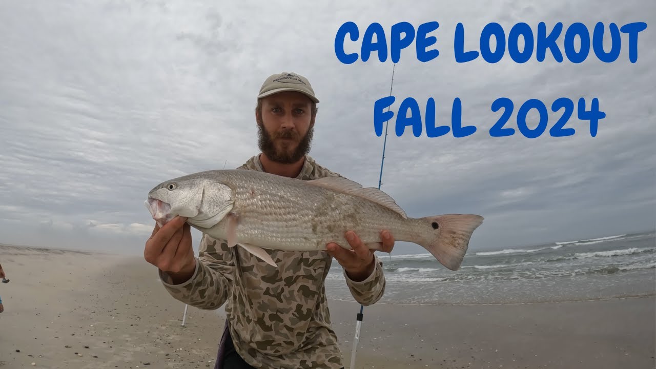 Lookout Fish CAPE LOOKOUT NC. Fall Surf Fishing on FIRE - YouTube