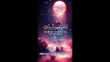 تلاوات الشيخ ياسر الدوسري #تلاوات_خاشعة #تلاوة_مميزة