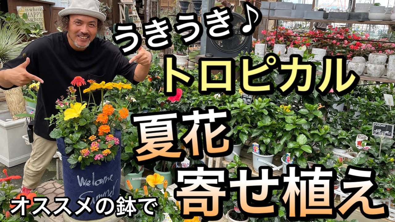 寄せ植え】トロピカルな、うきうき♪夏花寄せ植え(o^^o) - YouTube