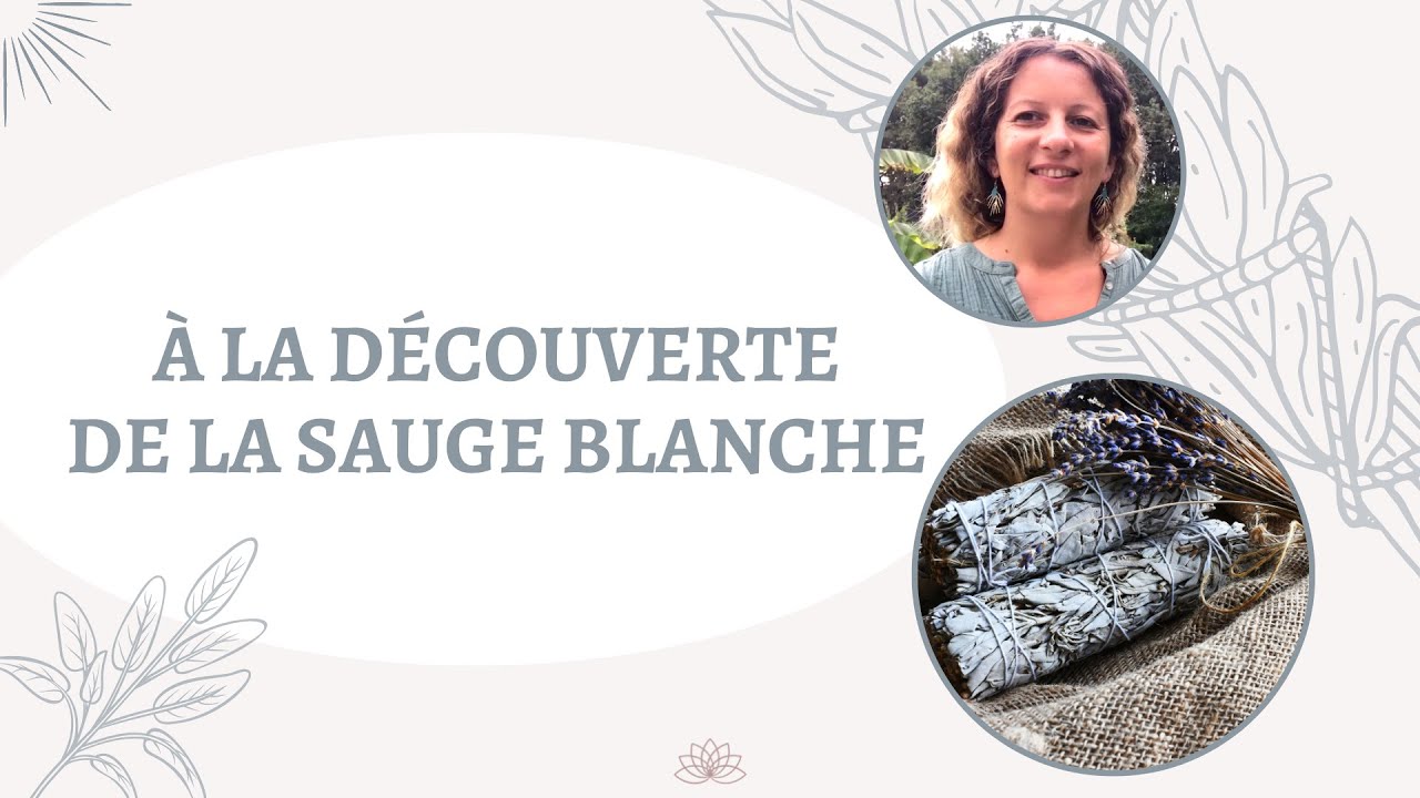 Sauge Blanche Purification, 1 Bâton de Sauge Blanche Purification +  Coquille d'Ormeau + 3X Bâtons de Palo Santo A Brûler + Ebook Pratique (PDF)  – pour