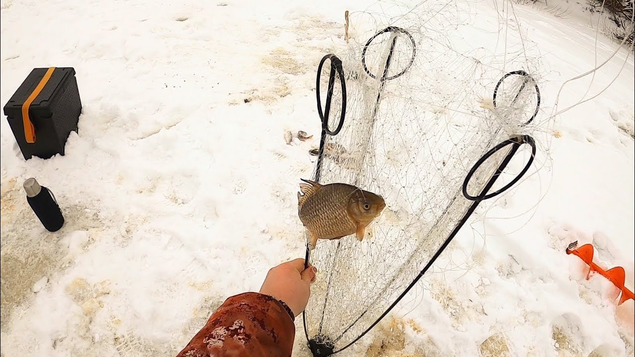 РЫБАЛКА НА ХАПУГИ В ЗАМОРНОЙ ПЕРЕПЛЮЙКЕ! ЛОВЧЕЕ МЕСТО НЕ ПОДВЕЛО. Рыбалка 2025